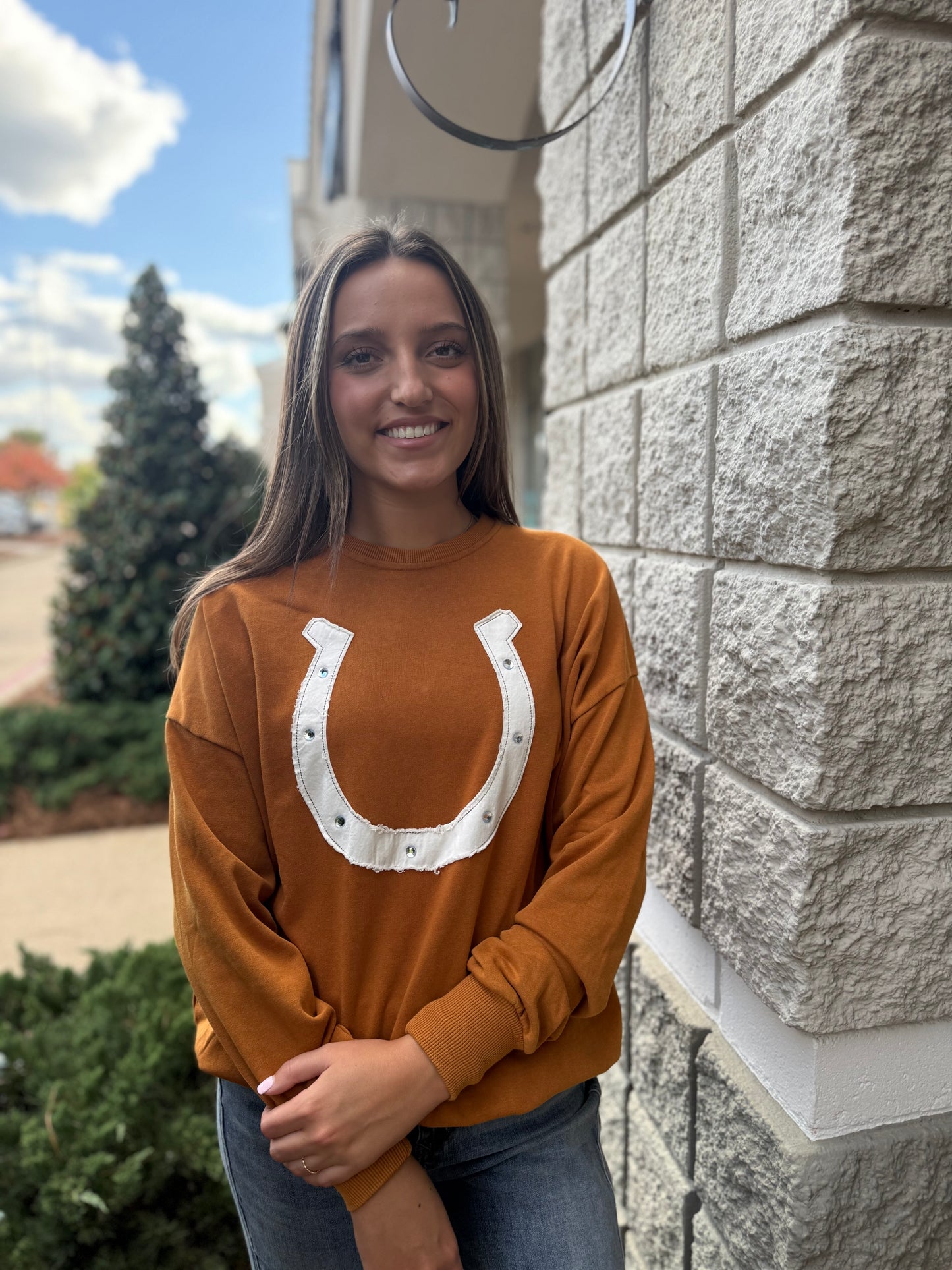 clay horseshoe sweatshirt