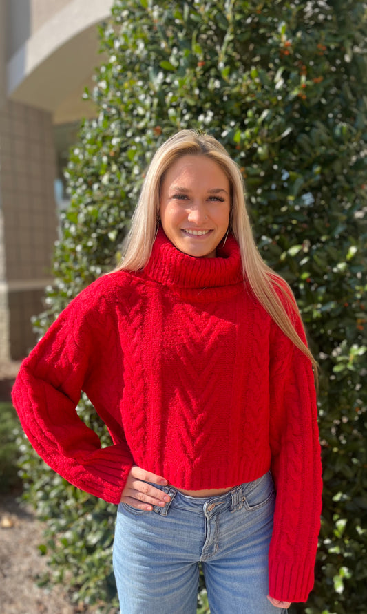 Red T Neck Crop Small